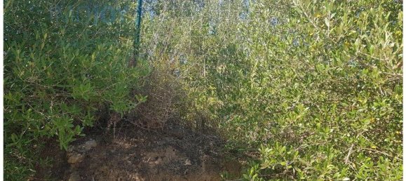  قطعة أرض في Cascais, Portugal 483متر مربع رقم 139554 9