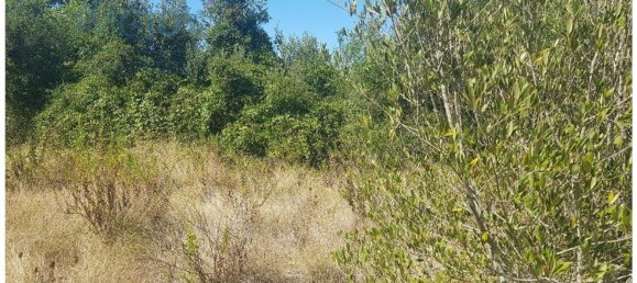  قطعة أرض في Cascais, Portugal 483متر مربع رقم 139554 19