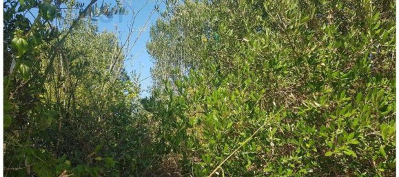  قطعة أرض في Cascais, Portugal 483متر مربع رقم 139554 14