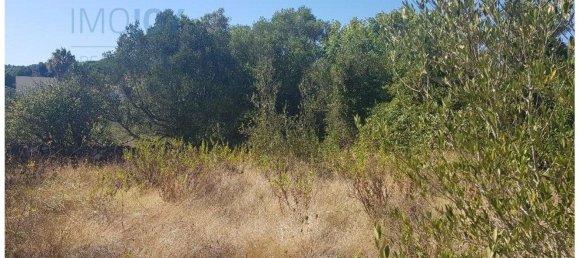  قطعة أرض في Cascais, Portugal 483متر مربع رقم 139554 18