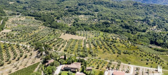 20 rooms House in Seggiano, Italy No. 57090 4