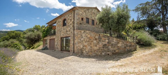 20 rooms House in Seggiano, Italy No. 57090 23