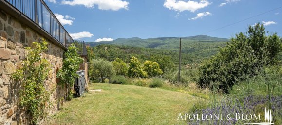 20 rooms House in Seggiano, Italy No. 57090 36