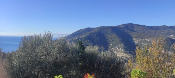 Casa de 3 habitaciónes en Recco, Italy No. 79365 2