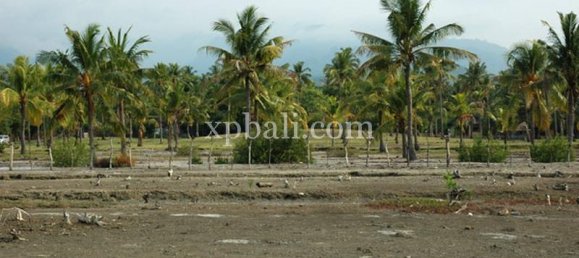 Terreno en Lovina, Indonesia No. 4200 10