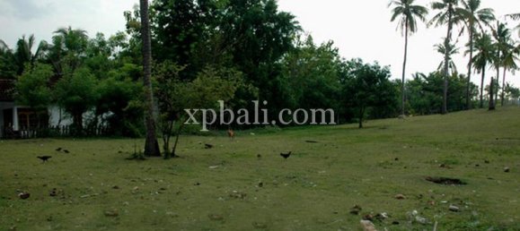 Terreno en Lovina, Indonesia No. 4200 6