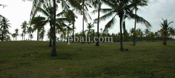 Terreno en Lovina, Indonesia No. 4200 7