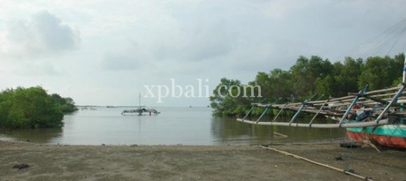 Terreno en Lovina, Indonesia No. 4200 2