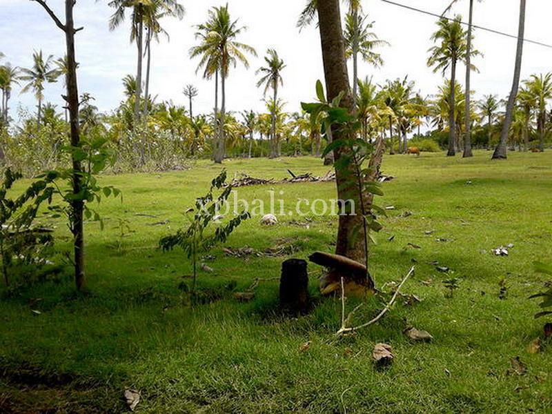 Terreno en Lovina, Indonesia No. 4200