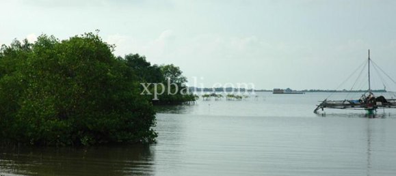 Terreno en Lovina, Indonesia No. 4200 3