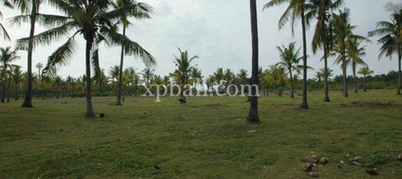 Terreno en Lovina, Indonesia No. 4200 8