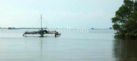 Terreno en Lovina, Indonesia No. 4200 4