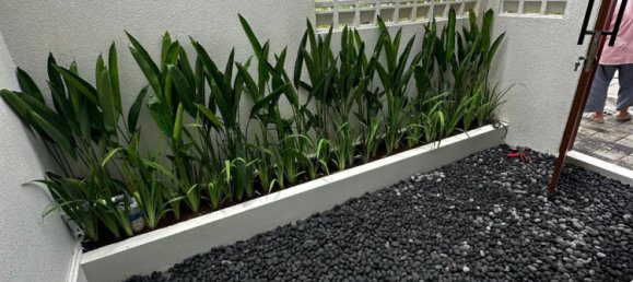 2 bedrooms Villa in Canggu, Indonesia No. 2528 6