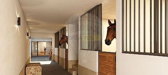 3 bedrooms House in Golega, Portugal No. 24258 18