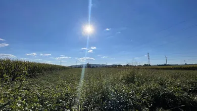 Terreno en Gralla, Austria No. 128982