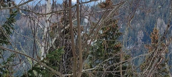 Terreno en Wolfsberg, Austria 2758 m² No. 167165 4