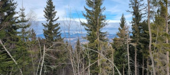 Terreno en Wolfsberg, Austria 2758 m² No. 167165 7