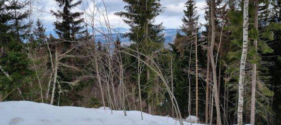 Terreno en Wolfsberg, Austria 2758 m² No. 167165 3