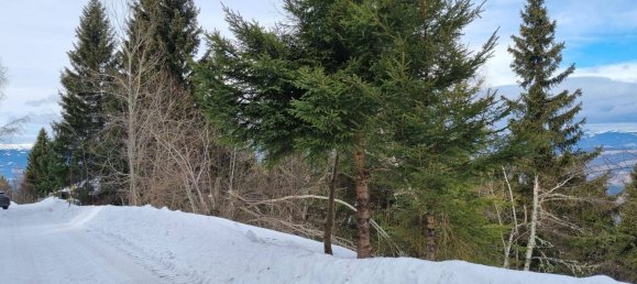 Terreno en Wolfsberg, Austria 2758 m² No. 167165 8