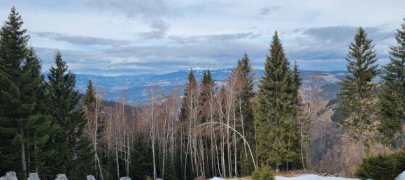 Terreno en Wolfsberg, Austria 2758 m² No. 167165 2