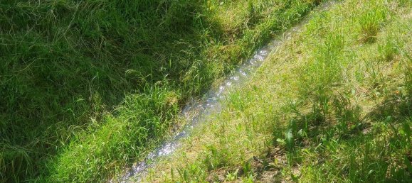 2 bedrooms House in Maissau, Austria No. 158241 34