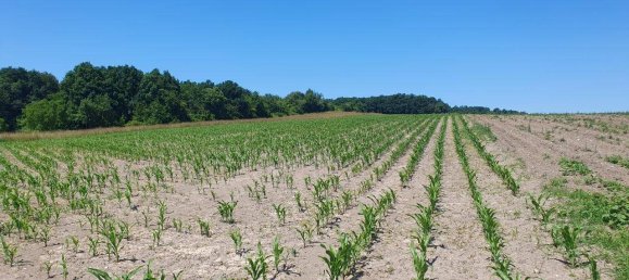 2 bedrooms House in Maissau, Austria No. 158241 9