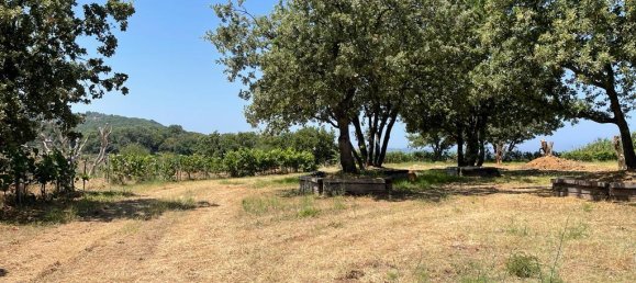26159m² hôtel à vendre à Corfu, Central Corfu and Diapontian Islands, Corfu, Ionian Islands, Peloponnese, Western Greece and the Ionian, Greece № 3053 19