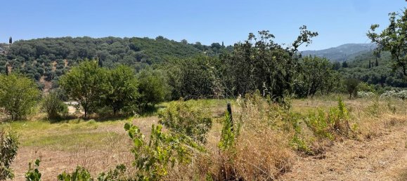26159m² hôtel à vendre à Corfu, Central Corfu and Diapontian Islands, Corfu, Ionian Islands, Peloponnese, Western Greece and the Ionian, Greece № 3053 25