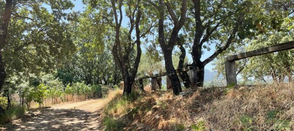 26159m² Hotel in Corfu, Greece No. 3053 24