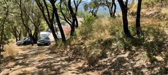 26159m² Hotel in Corfu, Greece No. 3053 13