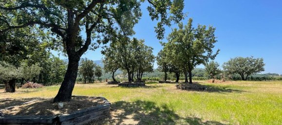 26159m² Hotel in Corfu, Greece No. 3053 4