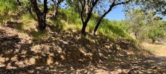 26159m² Hotel in Corfu, Greece No. 3053 14