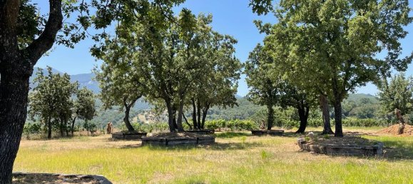 26159m² Hotel in Corfu, Greece No. 3053 3