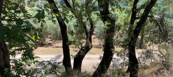 26159m² hôtel à vendre à Corfu, Central Corfu and Diapontian Islands, Corfu, Ionian Islands, Peloponnese, Western Greece and the Ionian, Greece № 3053 15