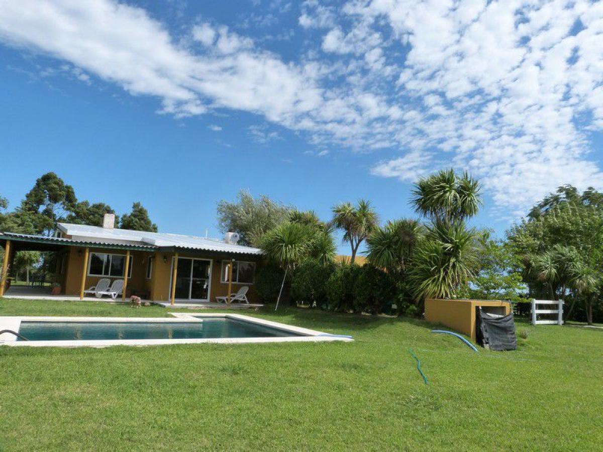 Ferme à Maldonado, Uruguay No. 15985