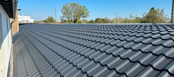 Propiedad comercial en Alzey-Worms, Germany 2200 m² No. 371534 11