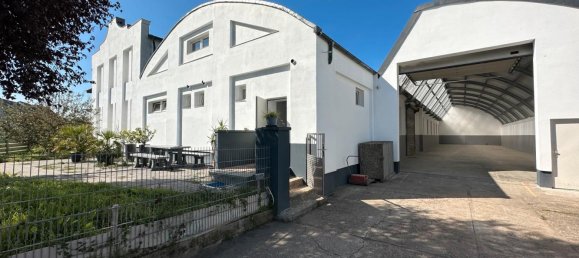 Propiedad comercial en Alzey-Worms, Germany 2200 m² No. 371534 14