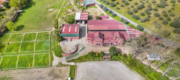 10 bedrooms House in Elvas, Portugal No. 103766 29