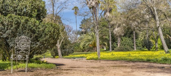 10 bedrooms House in Elvas, Portugal No. 103766 5