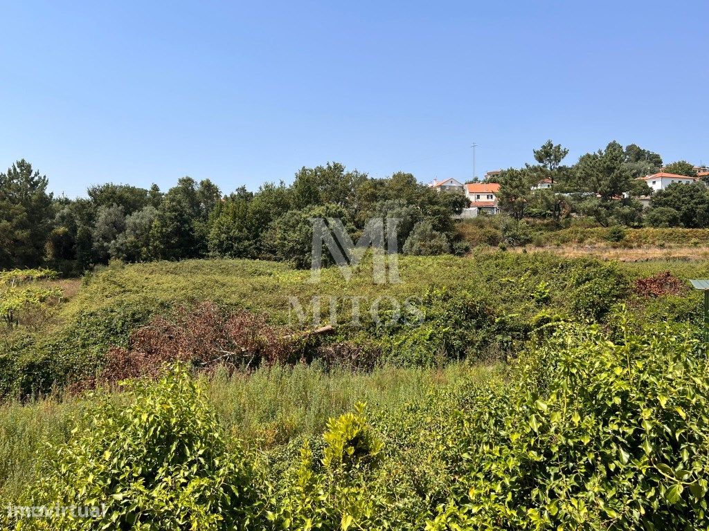 11131m² Land in Viana do Castelo, Portugal No. 77060