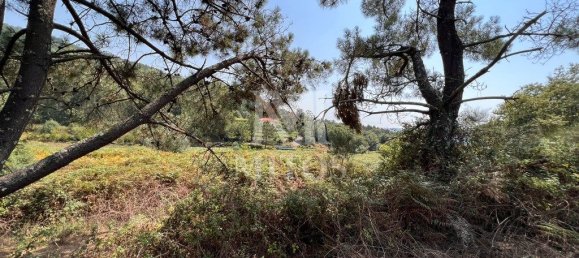 11131m² Land in Viana do Castelo, Portugal No. 77060 4