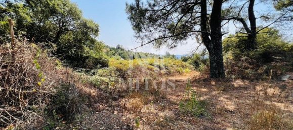 11131m² Land in Viana do Castelo, Portugal No. 77060 2