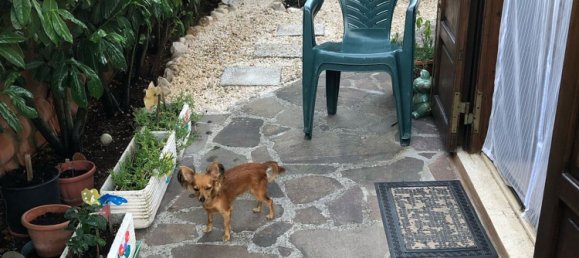 3 Schlafzimmer Haus in Rocca di Botte, Italy, Nr. 312521 33