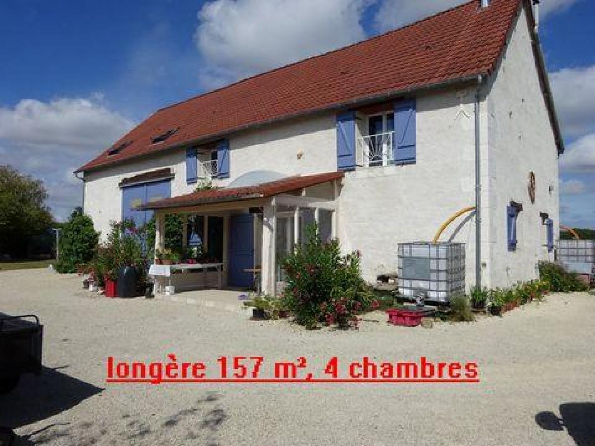 4 bedrooms House in Martizay, France No. 6168