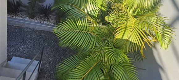 3 chambres Maison à Funchal, Portugal No. 114780 28