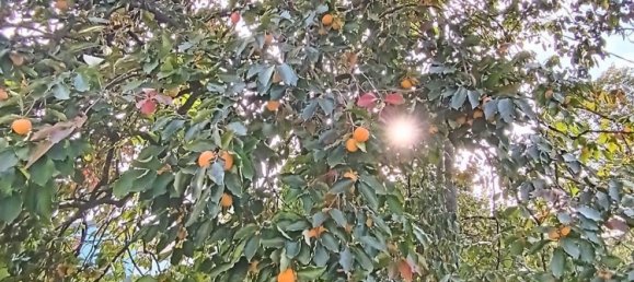 4 bedrooms Villa in Santa Maria di Sala, Italy No. 315845 19