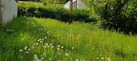 7 rooms Townhouse in Erfurt, Germany No. 32534 20