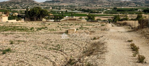 Земельный участок 12299м² в Аспе, Испания № 98194 2