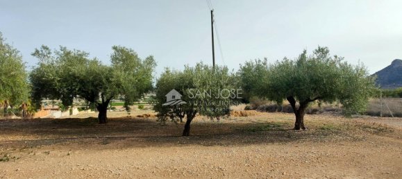 Земельный участок 12299м² в Аспе, Испания № 98194 6