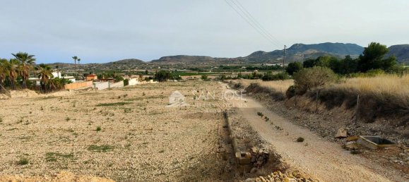 Земельный участок 12299м² в Аспе, Испания № 98194 3